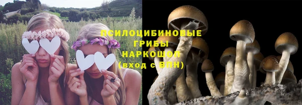 амф Пересвет