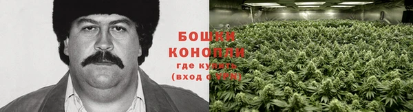винт Переславль-Залесский