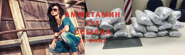твердый Шали