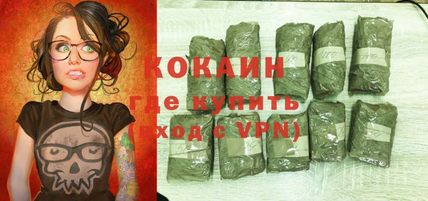 прущие грибы Осташков