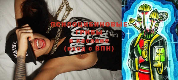 винт Переславль-Залесский