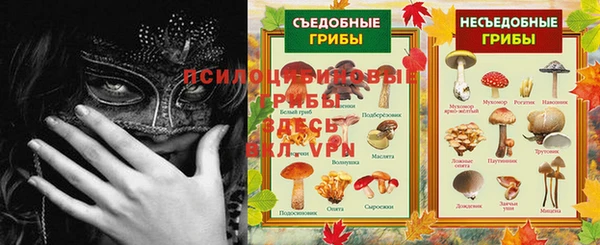 твердый Шали