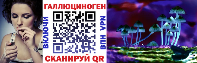omg маркетплейс  Губаха  Галлюциногенные грибы Psilocybine cubensis 