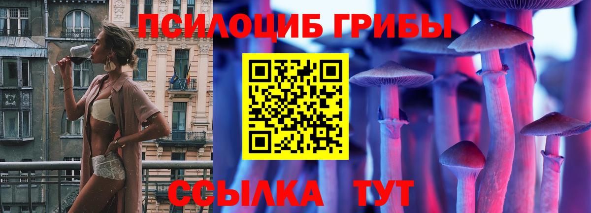 Галлюциногенные грибы Cubensis  Губаха  Псилоцибиновые грибы GOLDEN TEACHER 