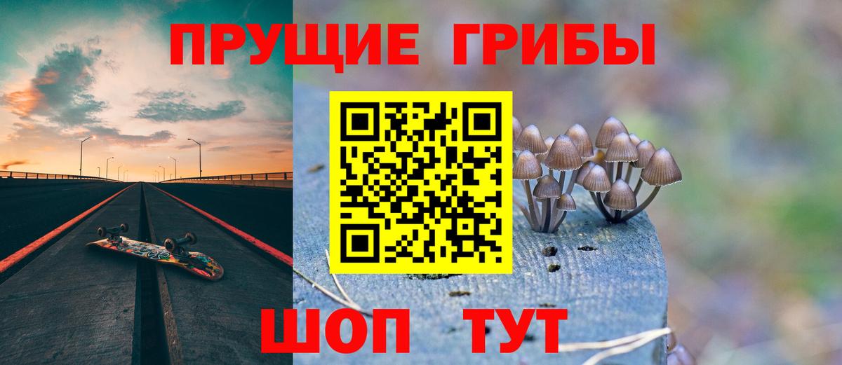 Галлюциногенные грибы Cubensis  Псилоцибиновые грибы мухоморы  Вход с VPN  Губаха 