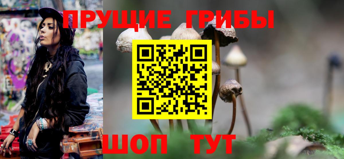 Псилоцибиновые грибы GOLDEN TEACHER Губаха