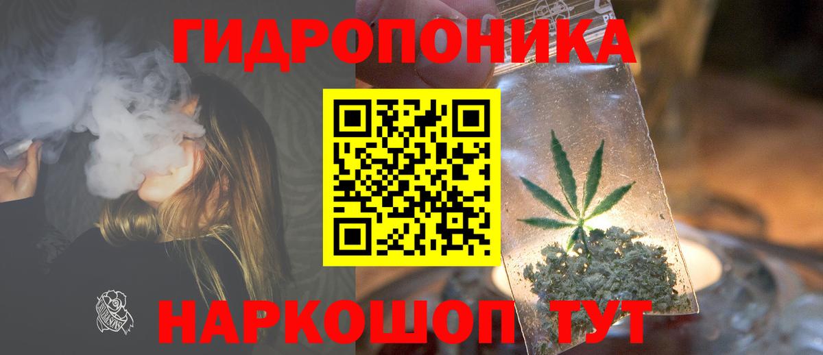 Марихуана семена  Конопля Ganja  Вход с VPN  Губаха  МАРИХУАНА план  Марихуана Bruce Banner 